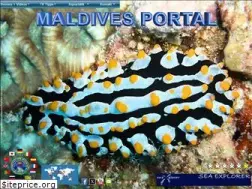 Sites similar to maldives.at