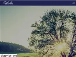 Sites similar to maleckifuneralhome.com