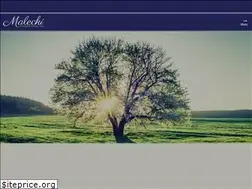 Sites similar to maleckifuneralhomes.com