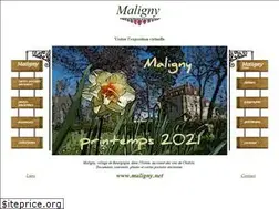 Sites similar to maligny.net