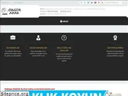 Sites similar to maltepeadaklik.com