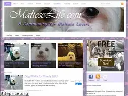 Sites similar to malteselife.com