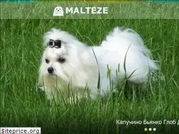 Sites similar to malteze.net