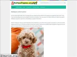 Sites similar to maltipoopuppies.org