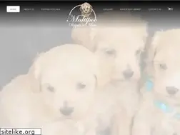 Sites similar to maltipoopuppiesnmore.com
