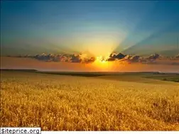Sites similar to mamacornbluegrass.com