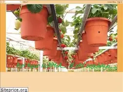 Sites similar to mamawandiha.blogspot.com
