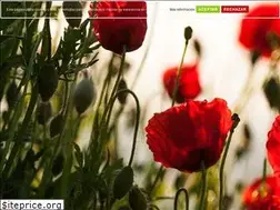 Sites similar to mamboomedia.com