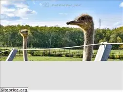 Sites similar to mamema.me