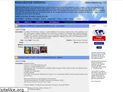 Sites similar to manchesters.com