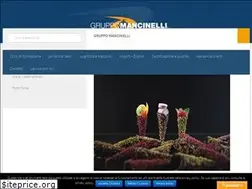 Sites similar to mancinelligroup.com