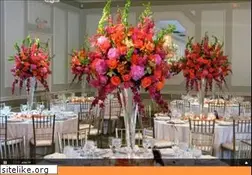 Sites similar to mandapsbydhoom.com