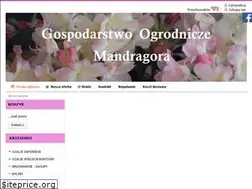 Sites similar to mandragora.net.pl
