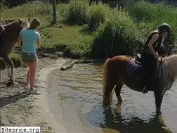 Sites similar to manegederuif.nl