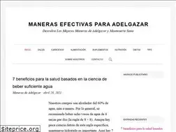 Sites similar to manerasdeadelgazar.com