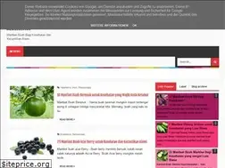 Sites similar to manfaatbuahkesehatan.blogspot.com