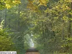 Sites similar to manfred-enderle.de