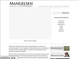 Sites similar to mangelsenstock.com