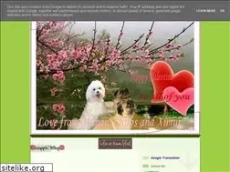 Sites similar to mangothemaltesekiddo.blogspot.com