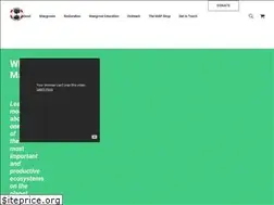 Sites similar to mangroveactionproject.org