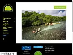 Sites similar to mangrovecenter.com