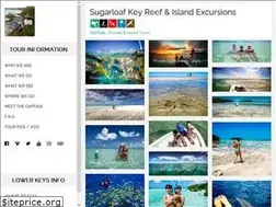 Sites similar to mangrovestudio.com