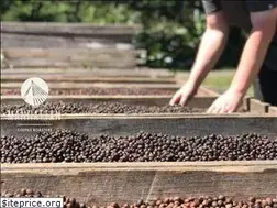 Sites similar to manhattancoffeeroasters.com
