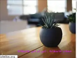 Sites similar to mania-dv.ir