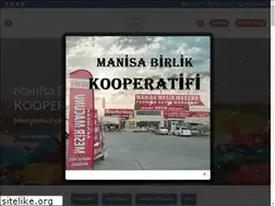 Sites similar to manisabirlik.com