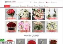 Sites similar to manisacicekci.com