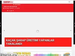 Sites similar to manisainternethaber.com