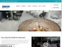 Sites similar to manisakurubuz.com