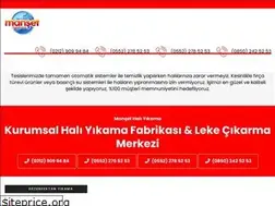 Sites similar to mansethaliyikama.com