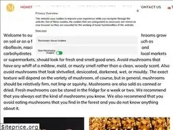 Sites similar to mantarator.com
