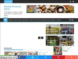 Sites similar to mantarsatis.com