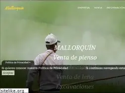 Sites similar to mantillosmadrid.es