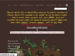 Sites similar to mantisplace.com