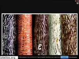 Sites similar to manufacturasartisticas.com
