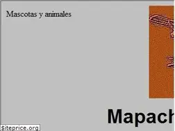 Sites similar to mapachepajareriayacuario.com