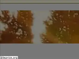 Sites similar to mapadinamics.com