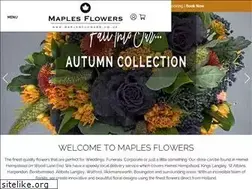 Sites similar to maplesflowers.co.uk