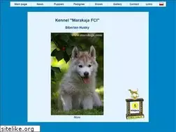 Sites similar to marakaja.com