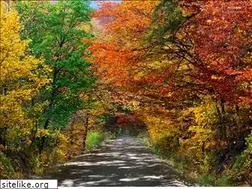 Sites similar to marathondupetittraindunord.com