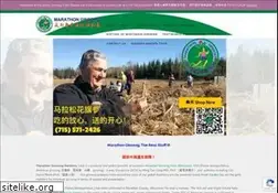 Sites similar to marathonginseng.com