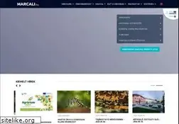 Sites similar to marcali.hu