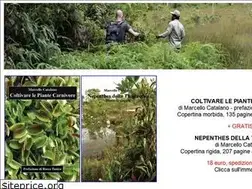 Sites similar to marcellocatalano.com
