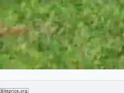 Sites similar to marchfarm.com