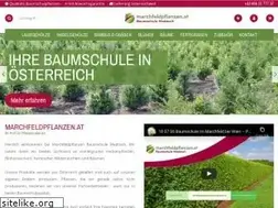 Sites similar to marchfeldpflanzen.at