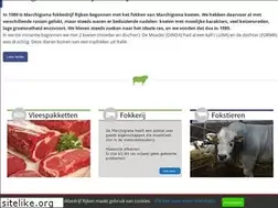 Sites similar to marchigiana.nl