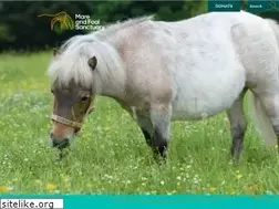 Sites similar to mareandfoal.org
